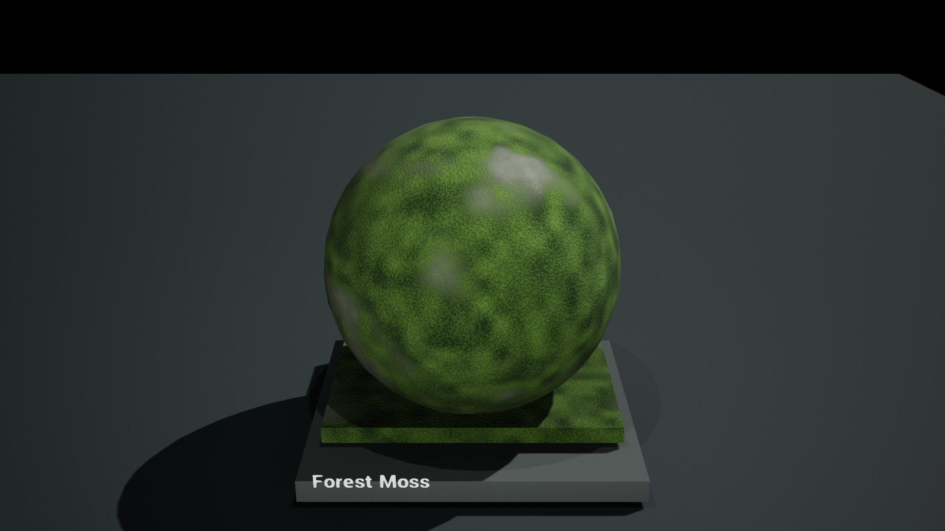 Forest Moss with fine surface relief